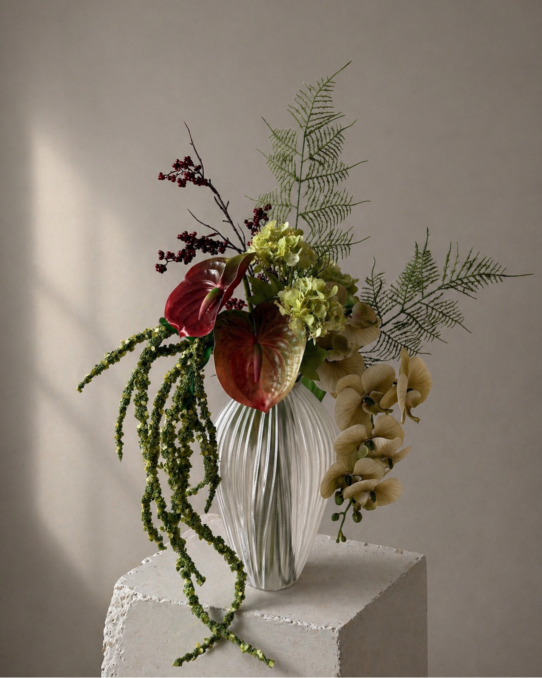 Collection Image