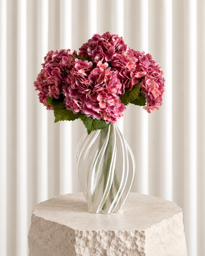 Hortensia