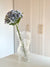 Hortensia - Lilla