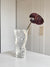 Anthurium - Burgundy