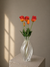Papegøje Tulipaner - Orange