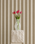 Tulipaner - Pink