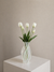 Tulipaner - Hvid