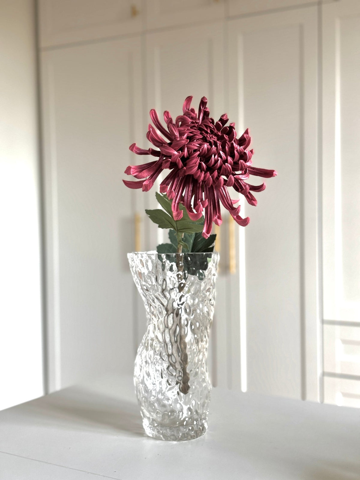 Chrysanthemum Stor - Burgundy - Rare Copenhagen