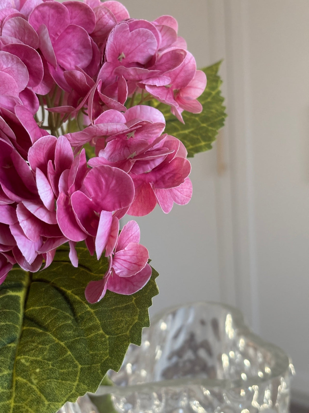Hortensia - Fuchsia - Rare Copenhagen