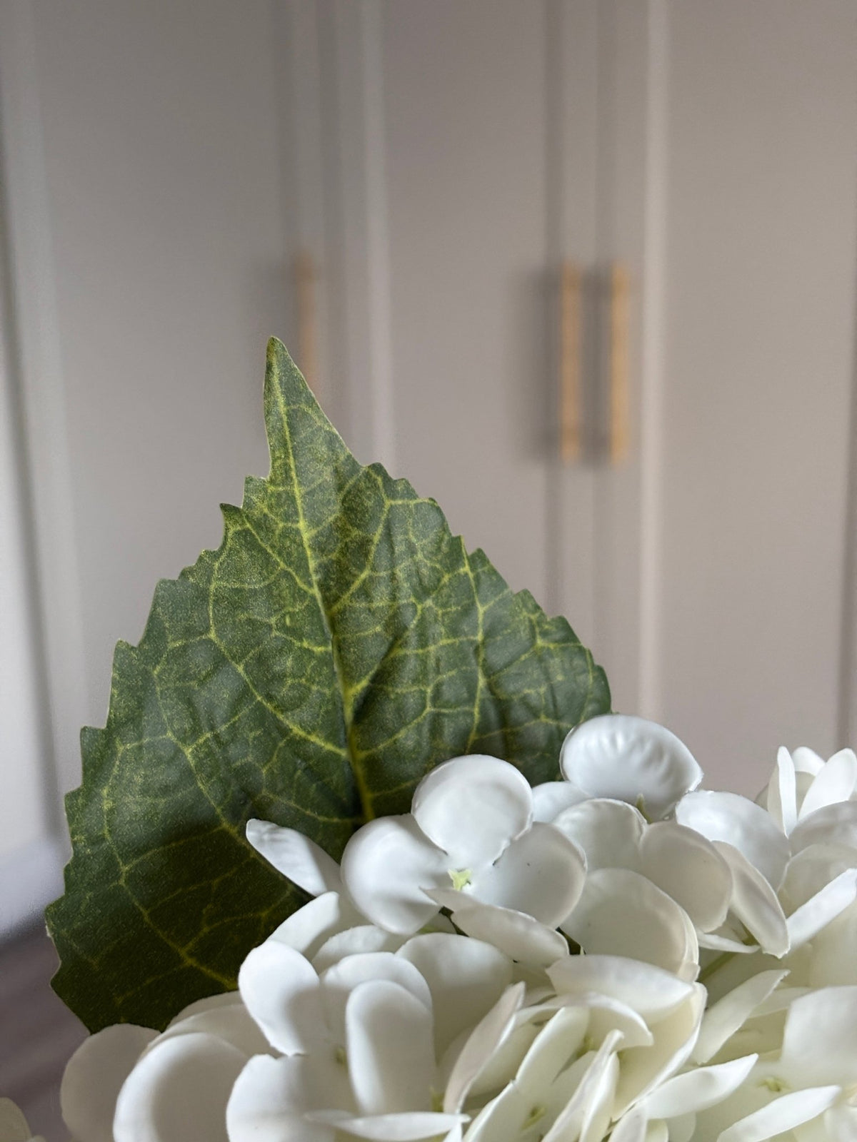 Hortensia - Hvid - Rare Copenhagen
