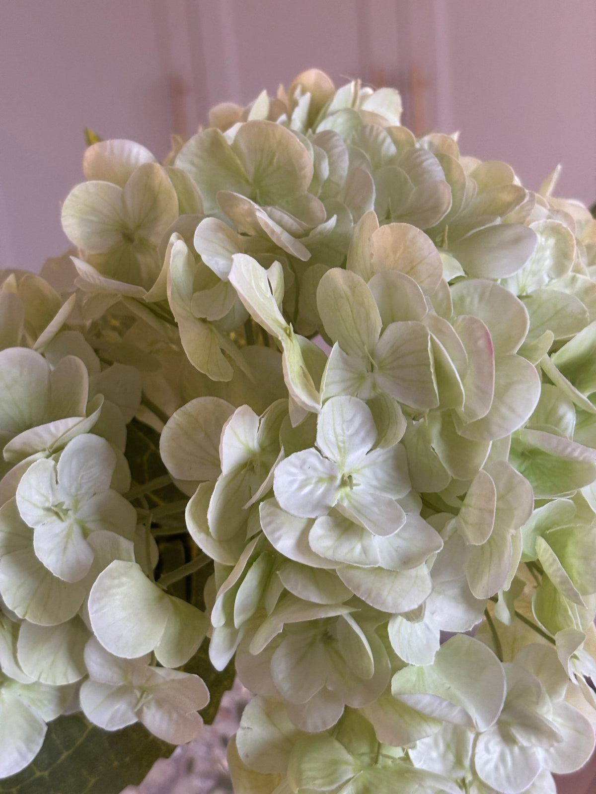 Hortensia - Hvid/grøn - Rare Copenhagen