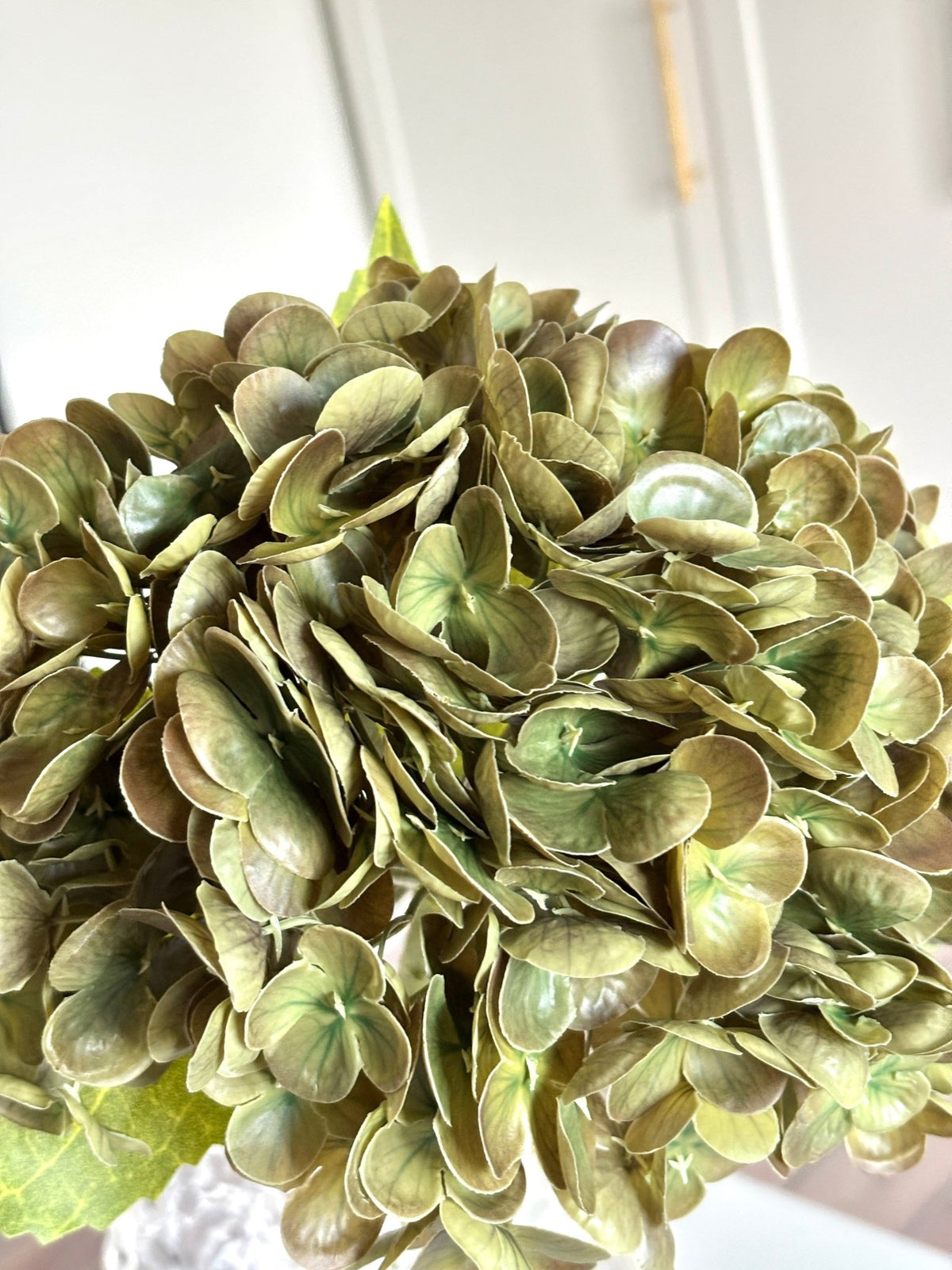 Hortensia - Mørkegrøn - Rare Copenhagen