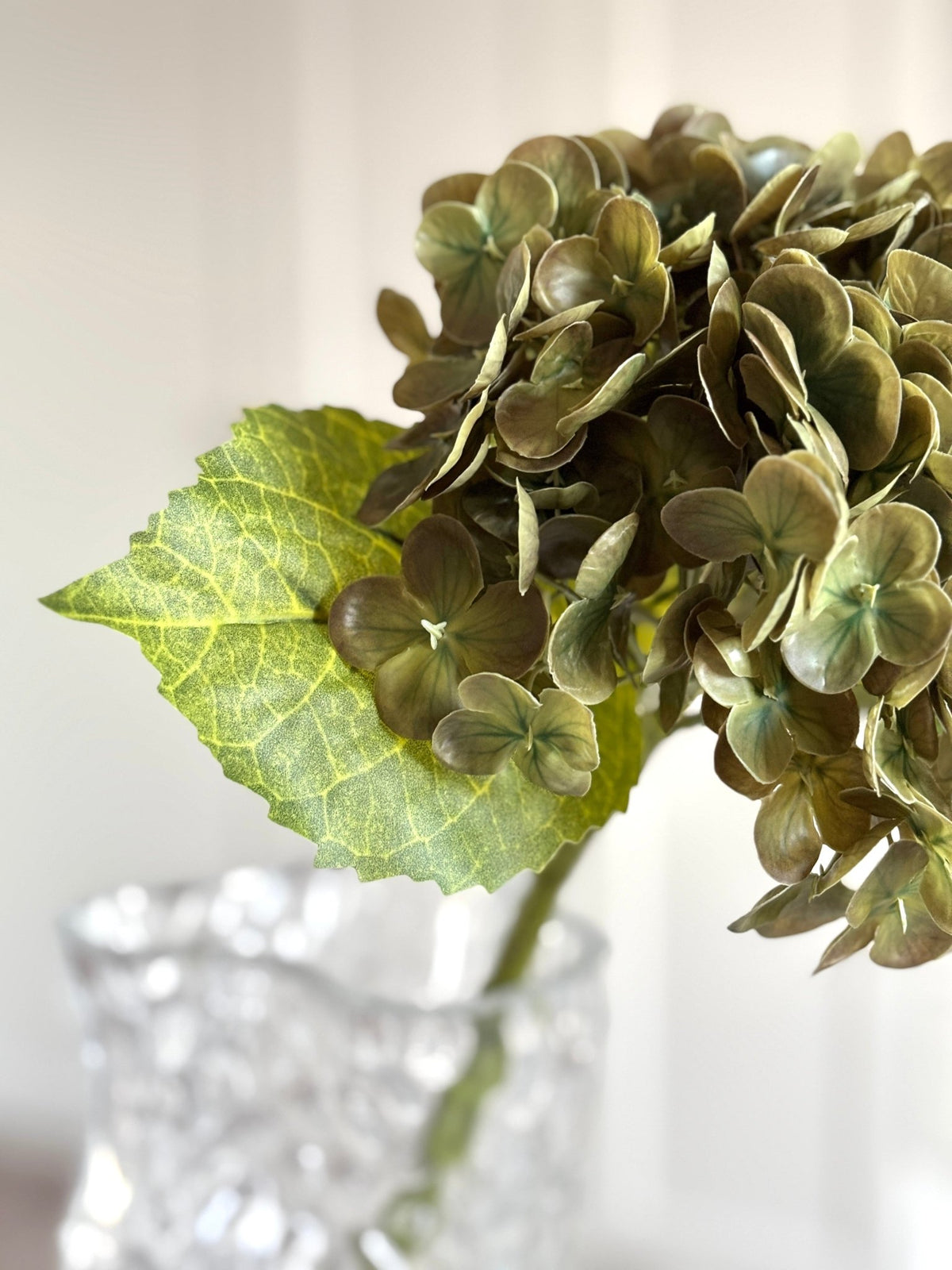Hortensia - Mørkegrøn - Rare Copenhagen