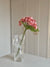 Hortensia - Peach - Rare Copenhagen
