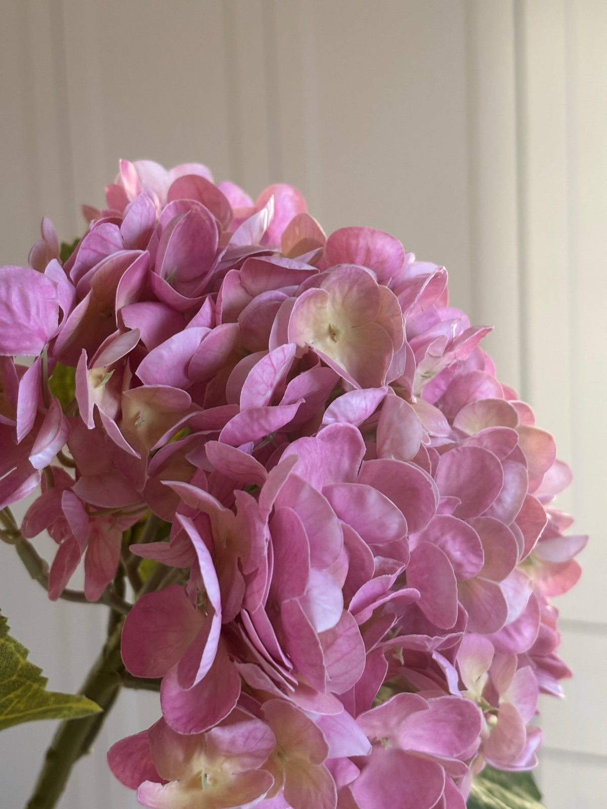 Lyserød/ Gul Hortensia Buket - Rare Copenhagen