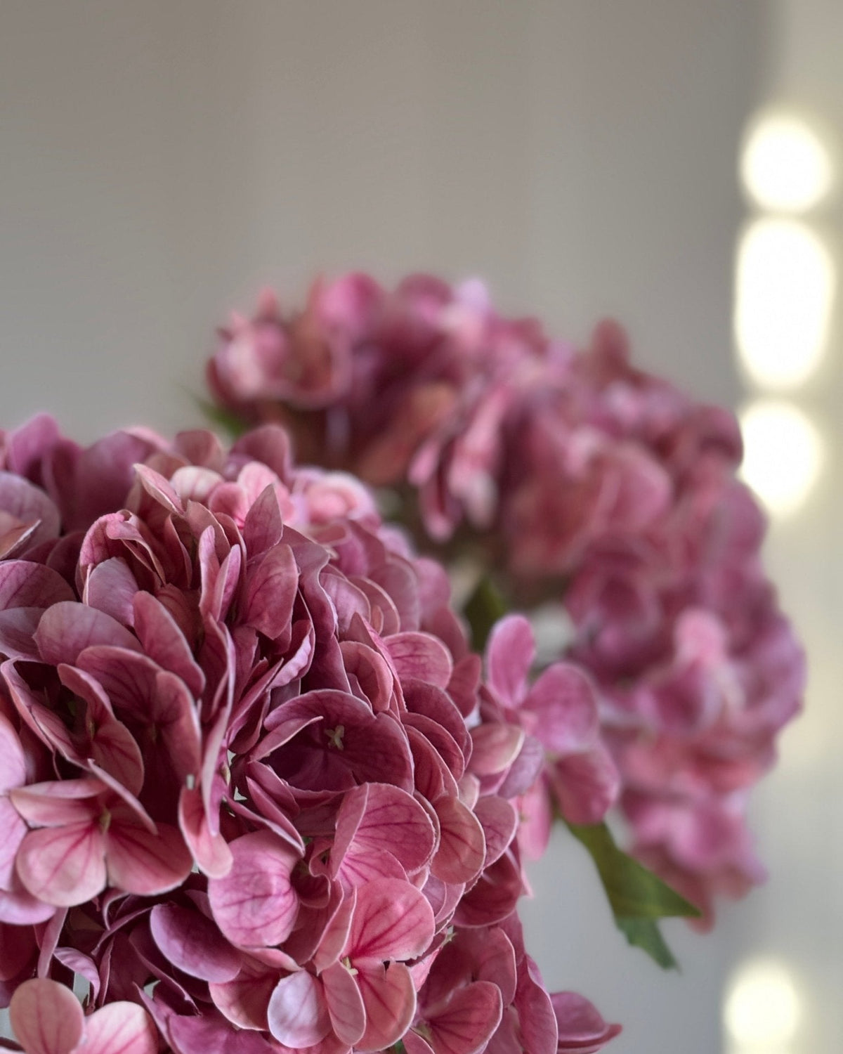 Pink Hortensia Buket - Rare Copenhagen